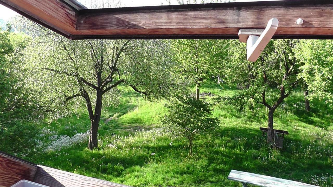 Apartamento Appel-Ranch Bockelwitz Exterior foto